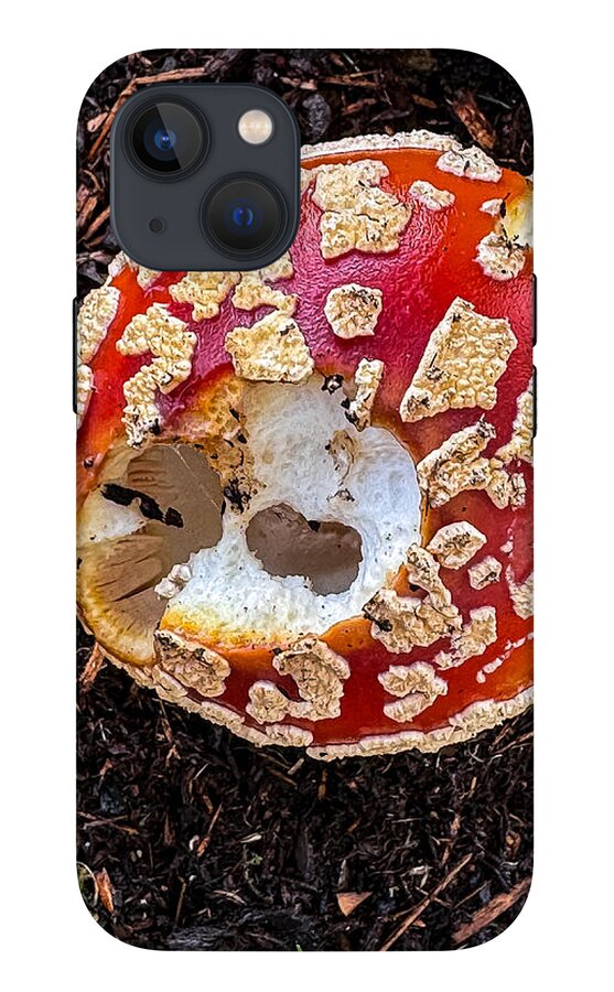 Mushroom 2 - Phone Case