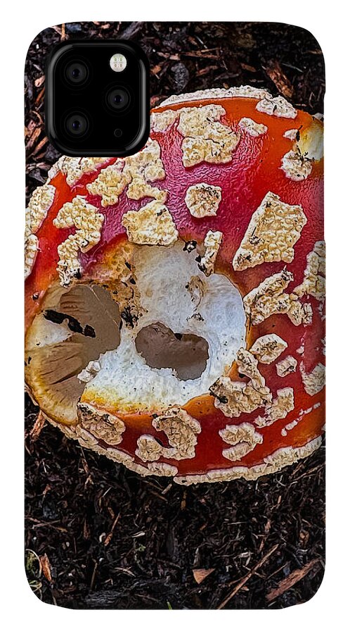 Mushroom 2 - Phone Case