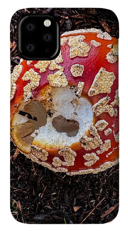 Mushroom 2 - Phone Case