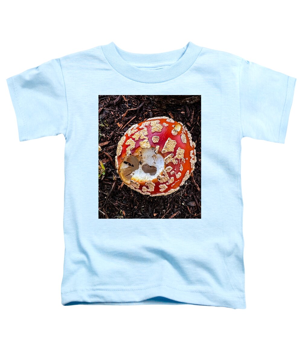 Mushroom 2 - Toddler T-Shirt