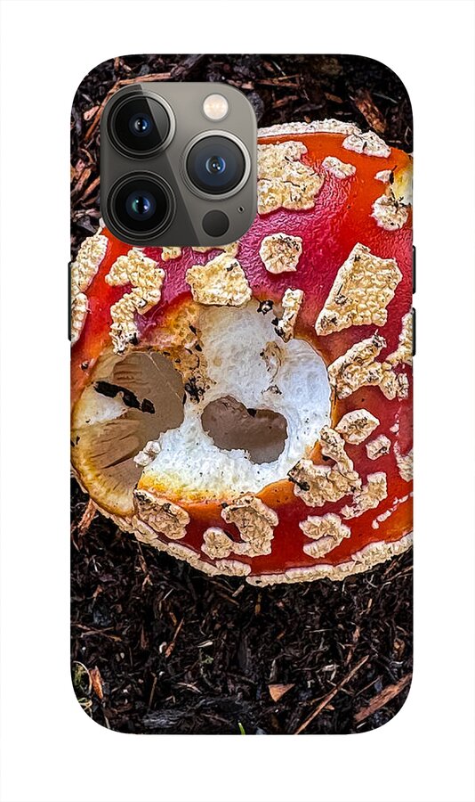 Mushroom 2 - Phone Case