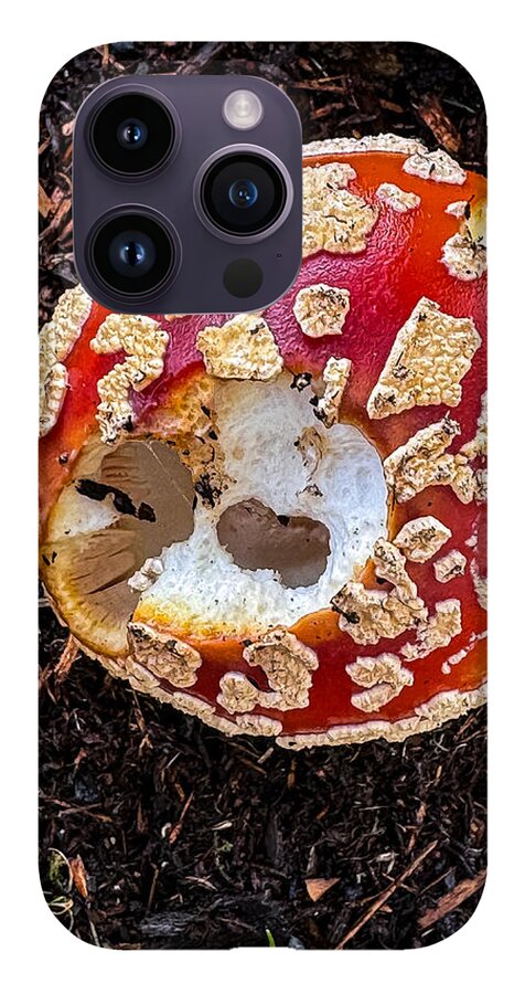 Mushroom 2 - Phone Case