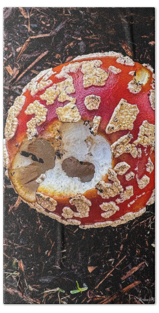 Mushroom 2 - Beach Towel