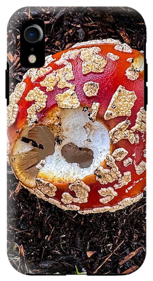 Mushroom 2 - Phone Case