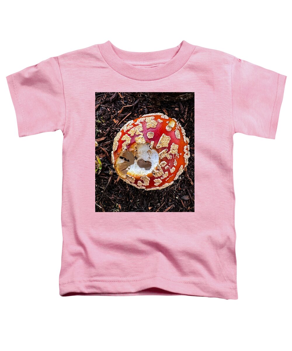 Mushroom 2 - Toddler T-Shirt
