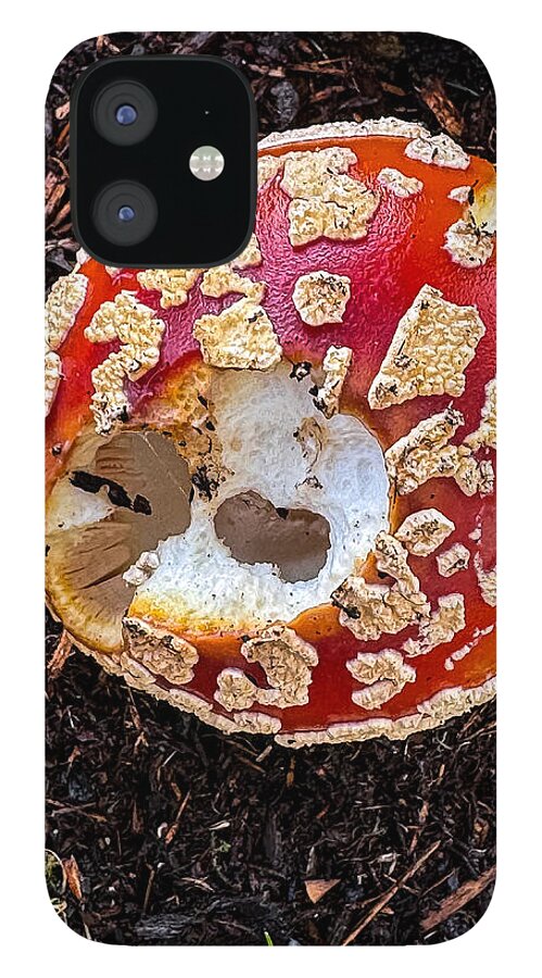 Mushroom 2 - Phone Case