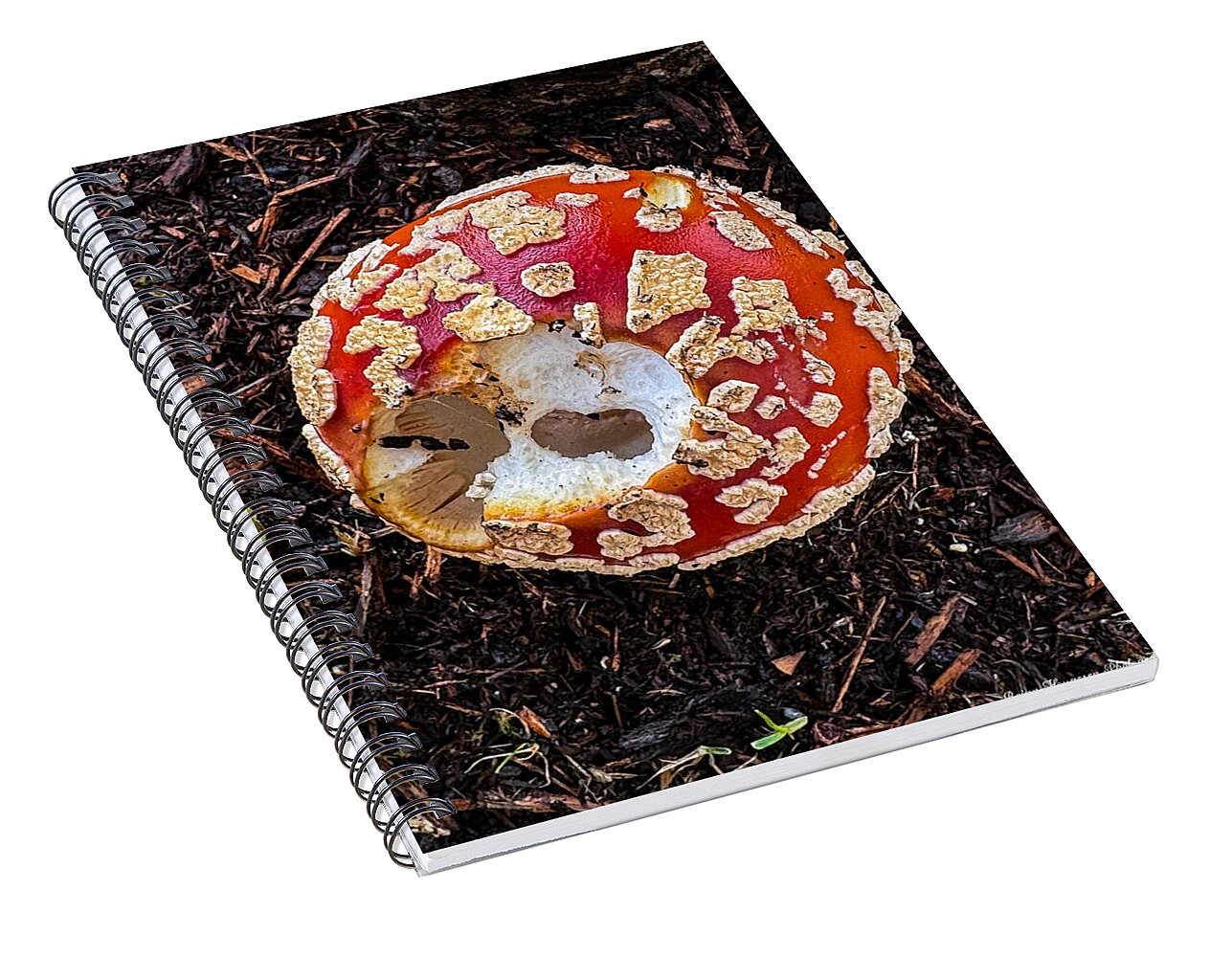 Mushroom 2 - Spiral Notebook