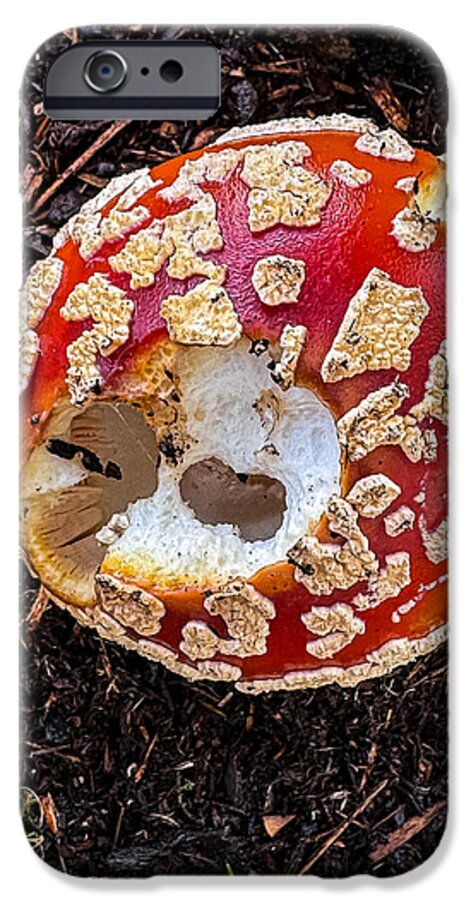 Mushroom 2 - Phone Case