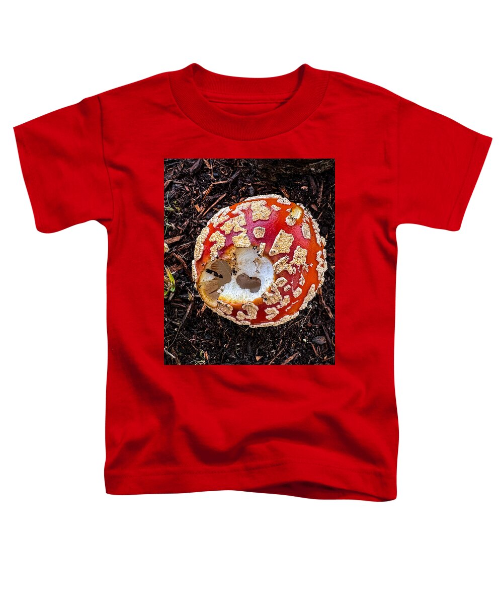 Mushroom 2 - Toddler T-Shirt