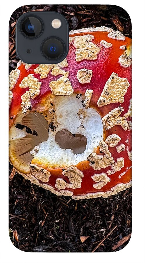 Mushroom 2 - Phone Case