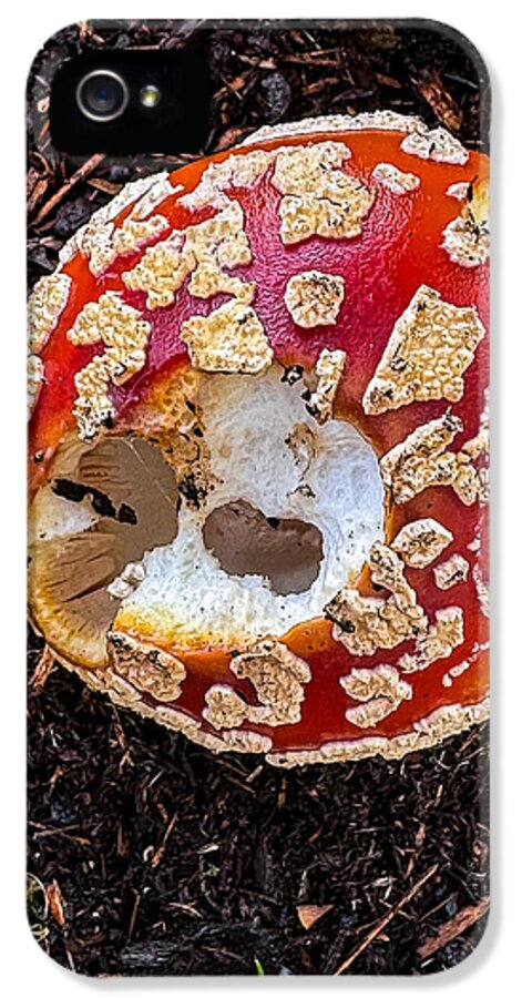 Mushroom 2 - Phone Case
