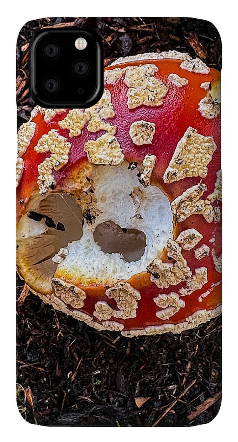 Mushroom 2 - Phone Case