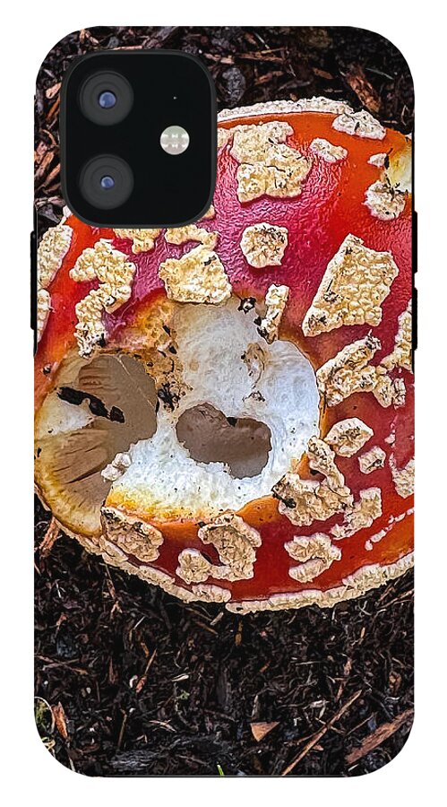 Mushroom 2 - Phone Case