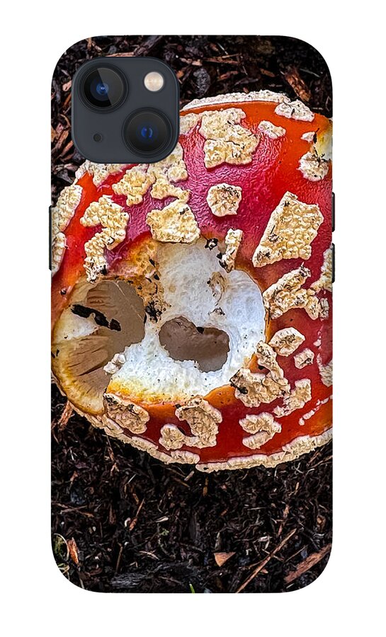 Mushroom 2 - Phone Case