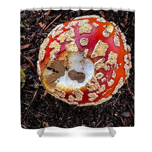 Mushroom 2 - Shower Curtain
