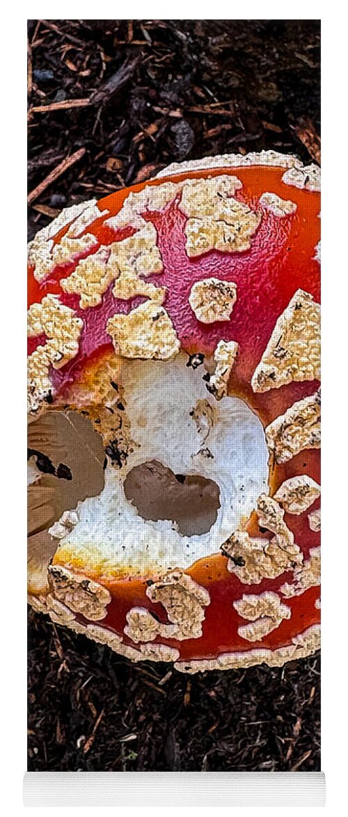 Mushroom 2 - Yoga Mat