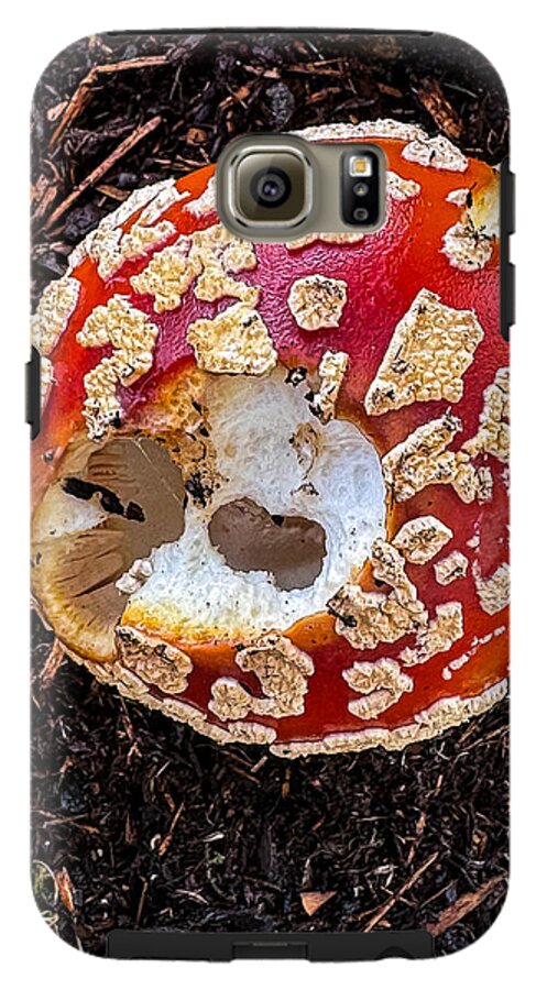 Mushroom 2 - Phone Case