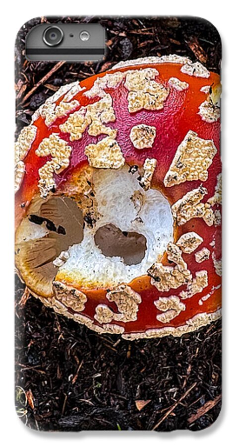 Mushroom 2 - Phone Case