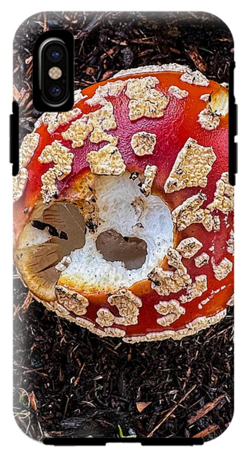 Mushroom 2 - Phone Case