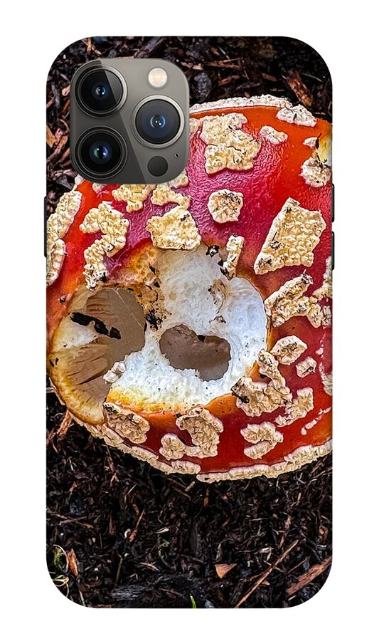 Mushroom 2 - Phone Case