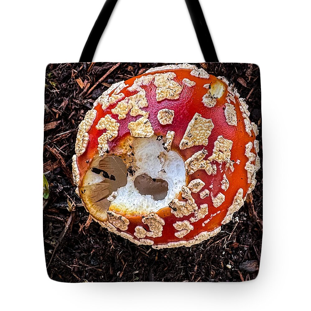 Mushroom 2 - Tote Bag