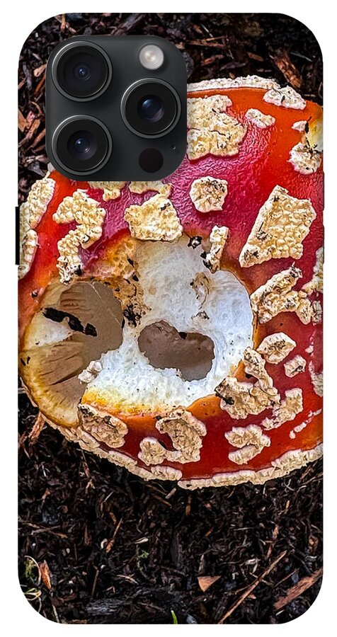 Mushroom 2 - Phone Case