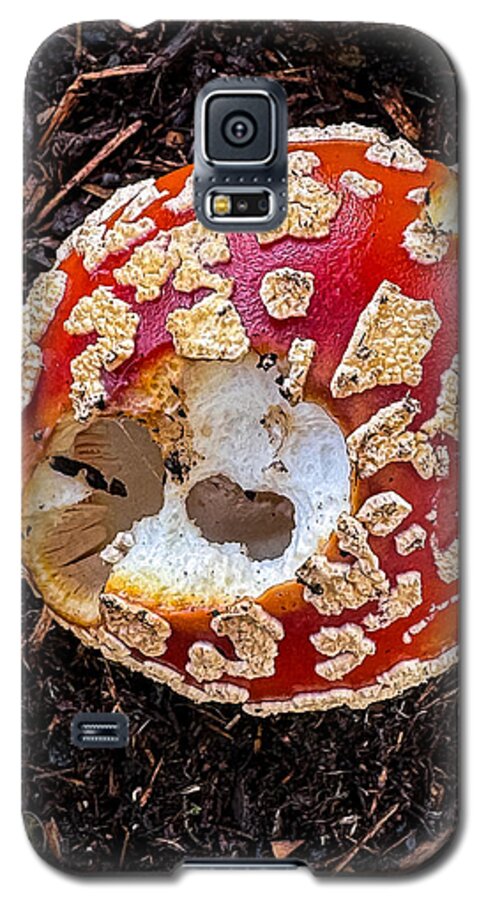 Mushroom 2 - Phone Case
