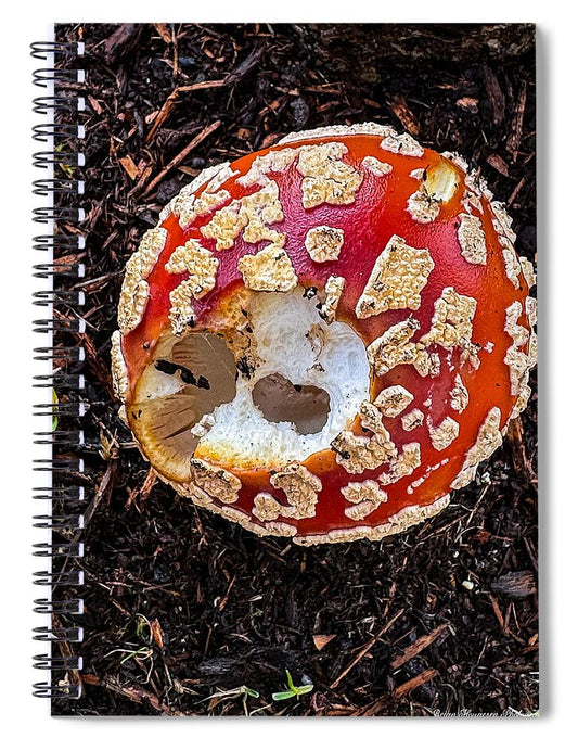 Mushroom 2 - Spiral Notebook