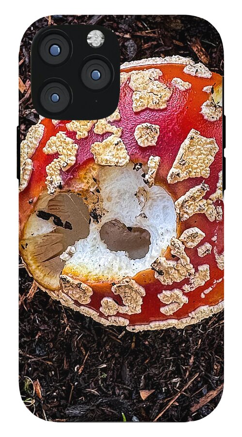 Mushroom 2 - Phone Case