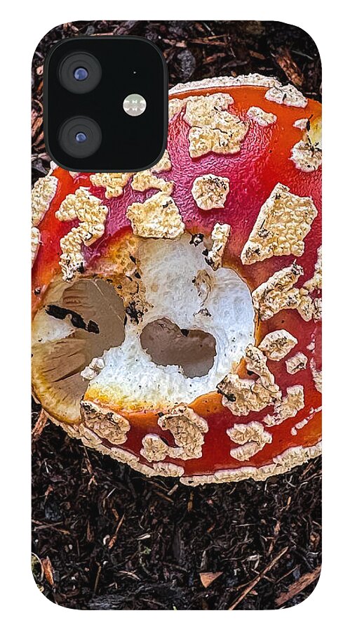 Mushroom 2 - Phone Case