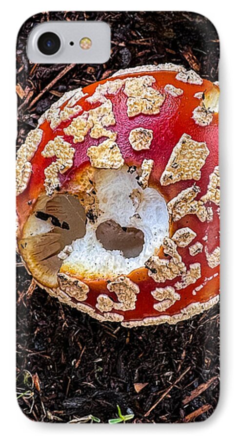 Mushroom 2 - Phone Case