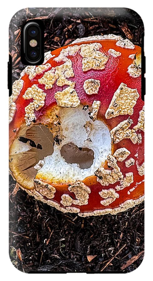 Mushroom 2 - Phone Case