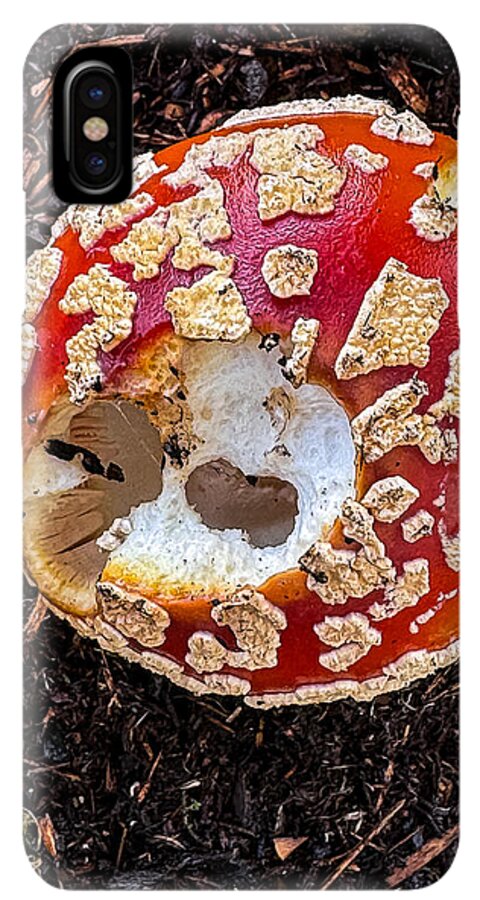 Mushroom 2 - Phone Case