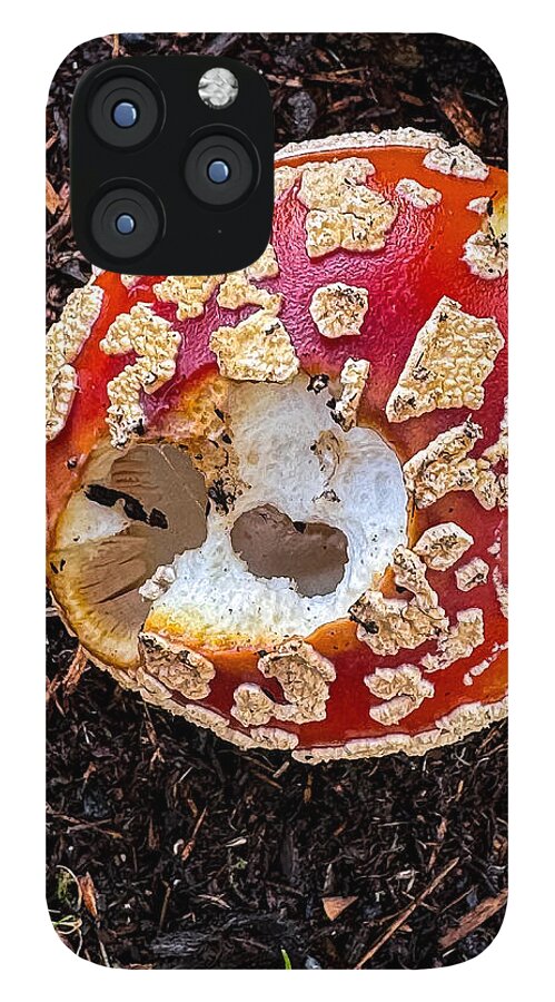 Mushroom 2 - Phone Case