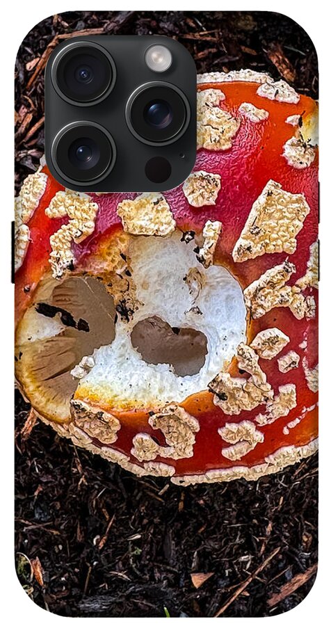 Mushroom 2 - Phone Case