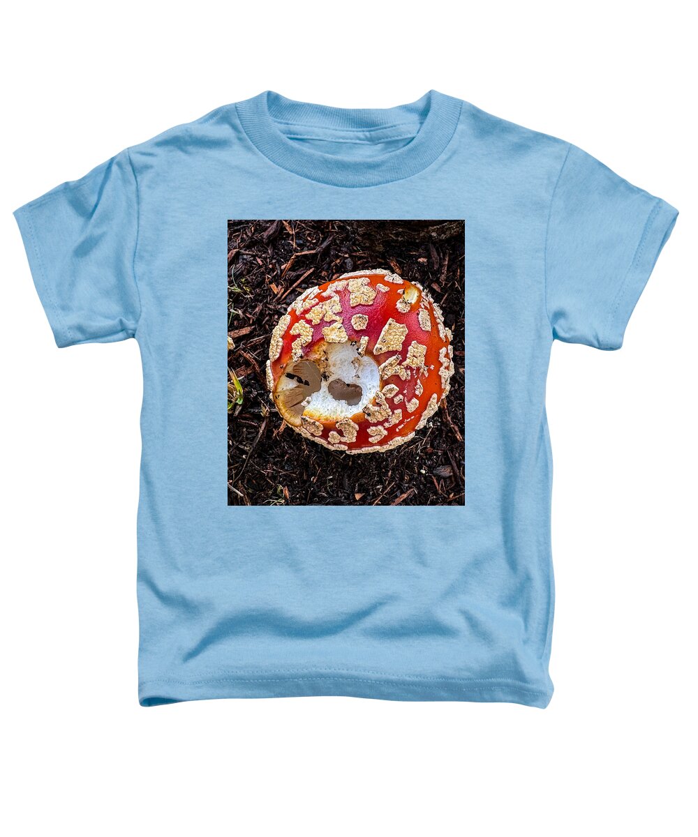 Mushroom 2 - Toddler T-Shirt