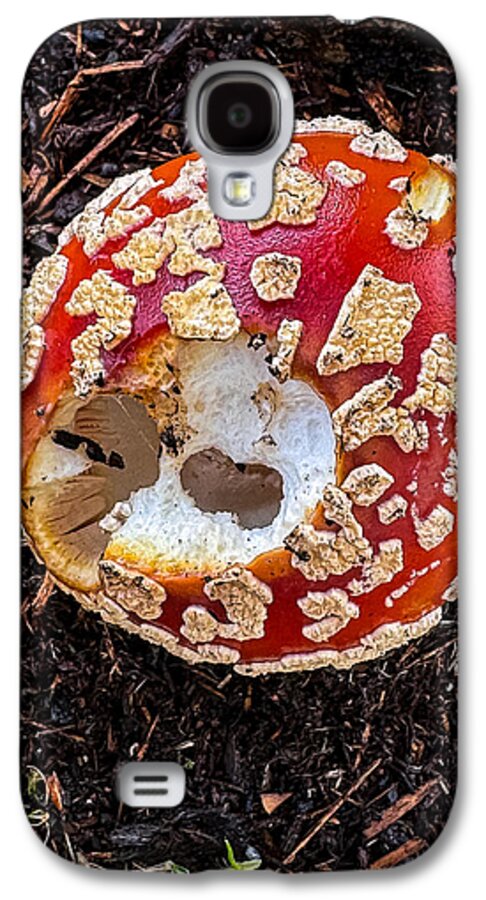 Mushroom 2 - Phone Case