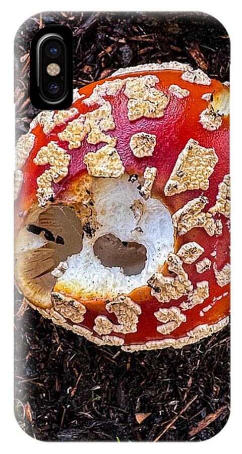 Mushroom 2 - Phone Case