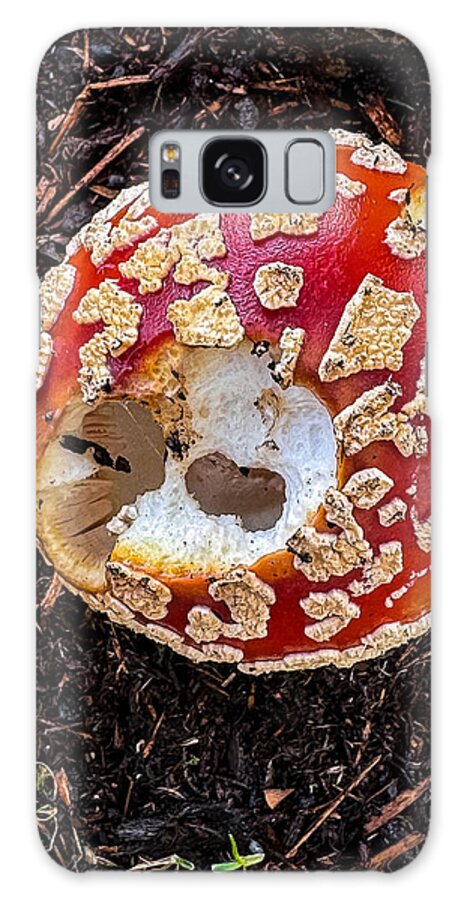 Mushroom 2 - Phone Case