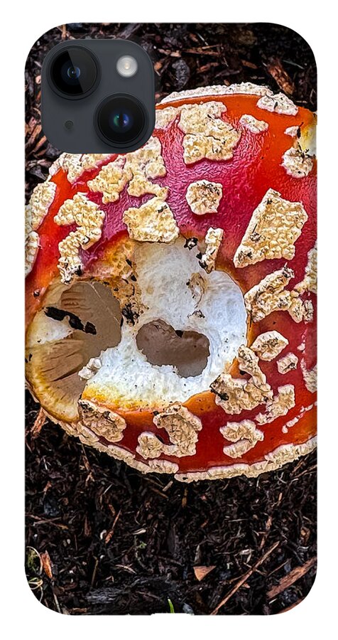 Mushroom 2 - Phone Case
