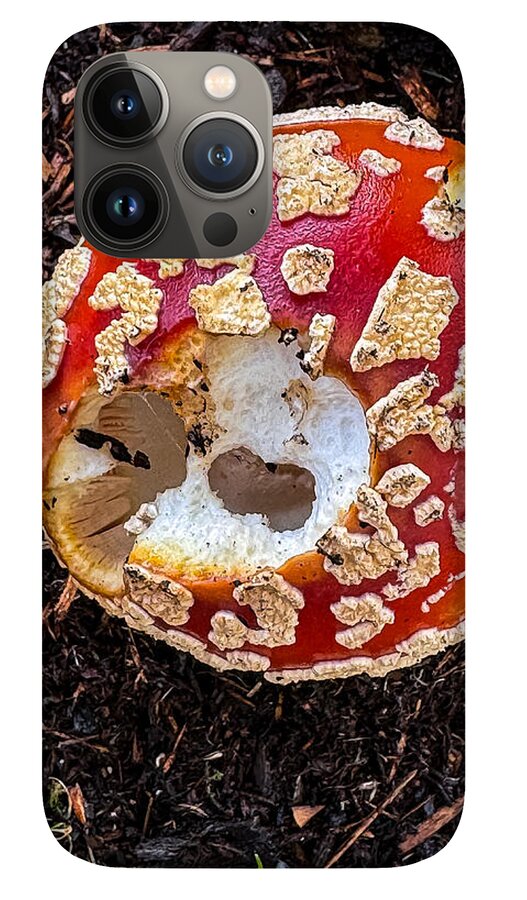 Mushroom 2 - Phone Case