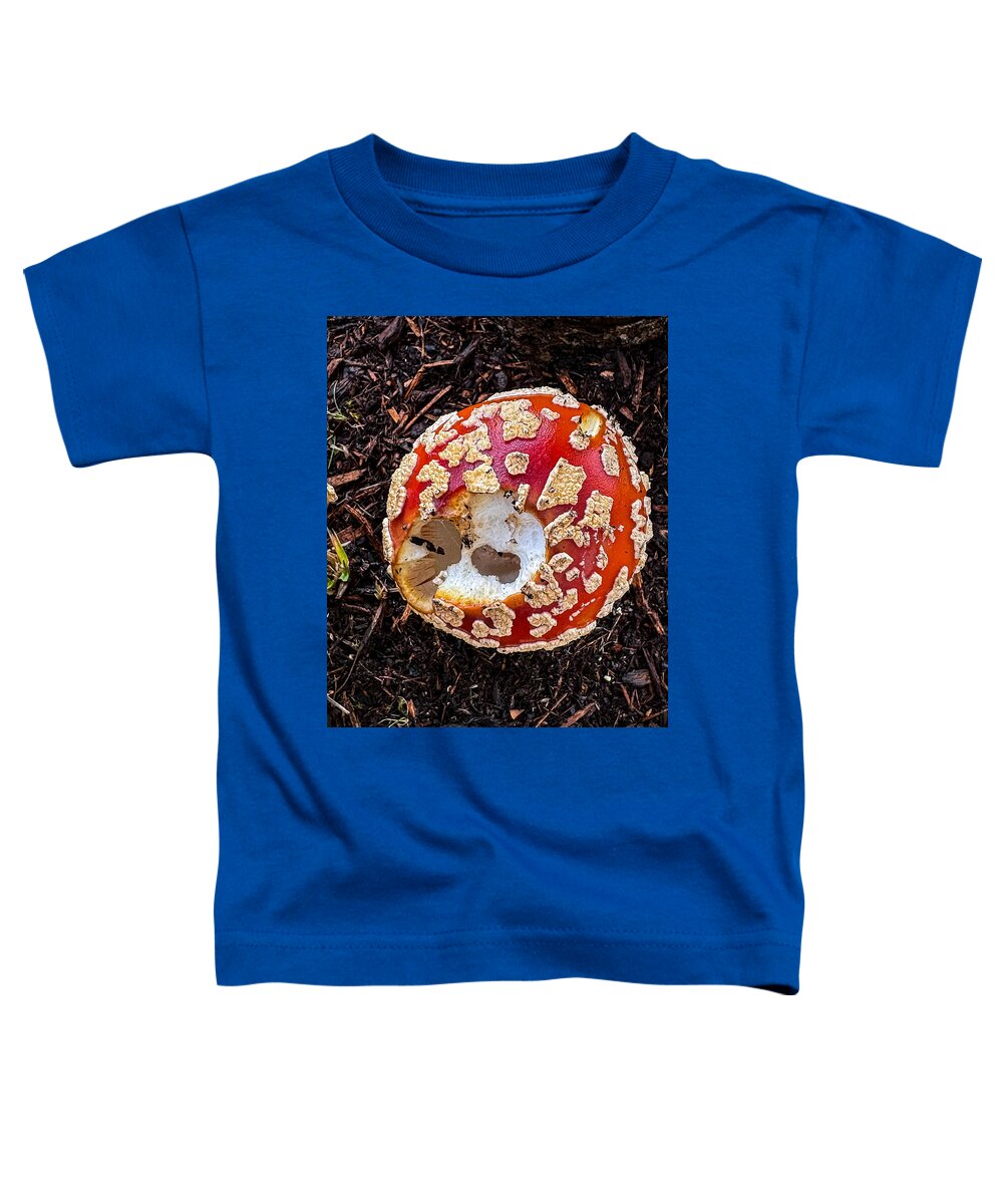 Mushroom 2 - Toddler T-Shirt