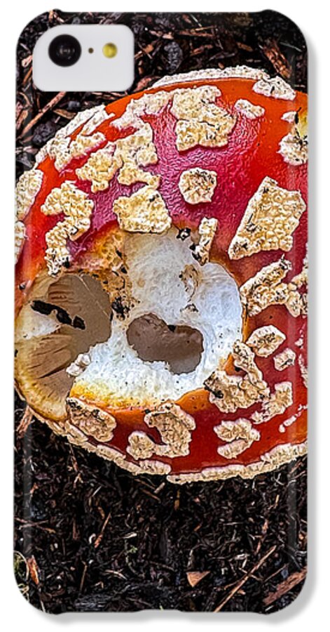 Mushroom 2 - Phone Case