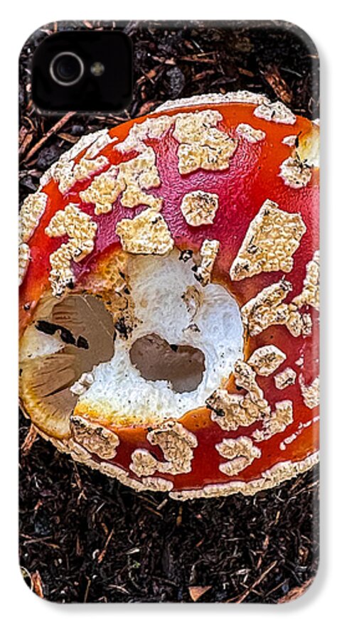 Mushroom 2 - Phone Case
