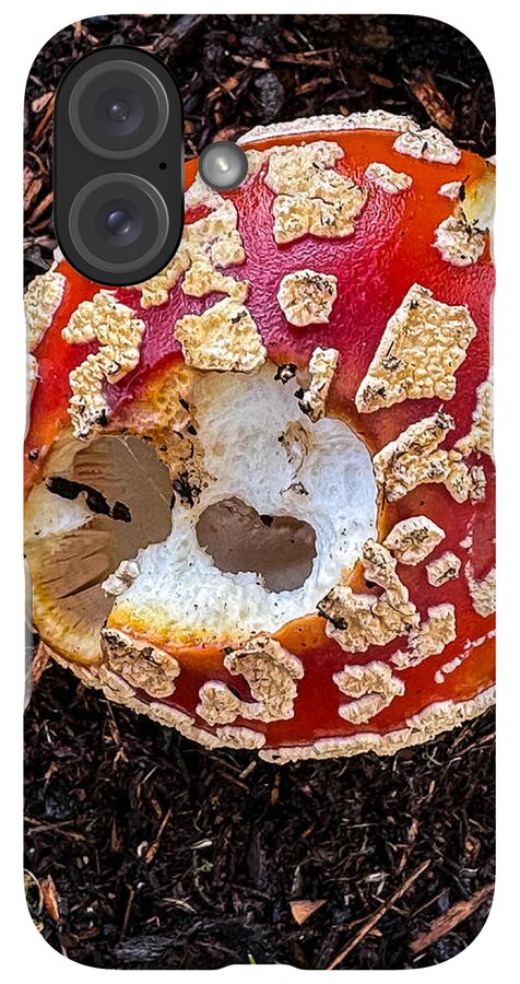 Mushroom 2 - Phone Case