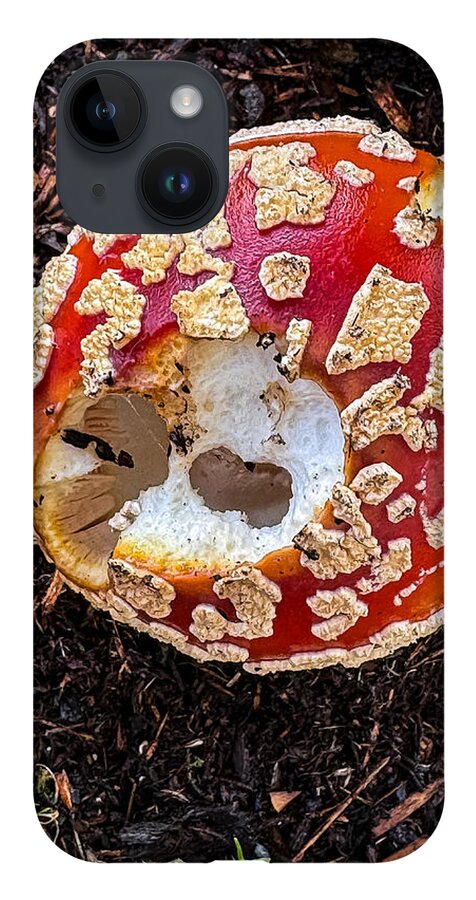 Mushroom 2 - Phone Case