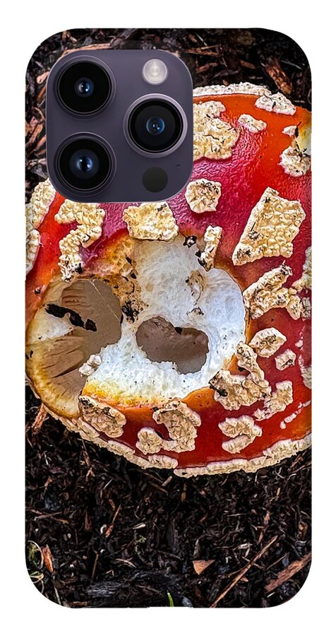 Mushroom 2 - Phone Case