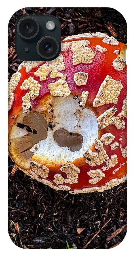 Mushroom 2 - Phone Case