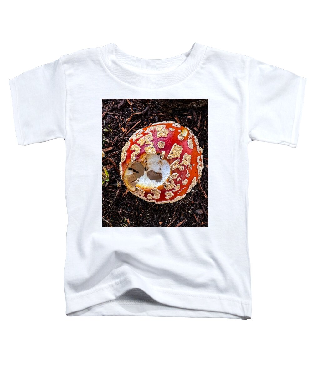 Mushroom 2 - Toddler T-Shirt