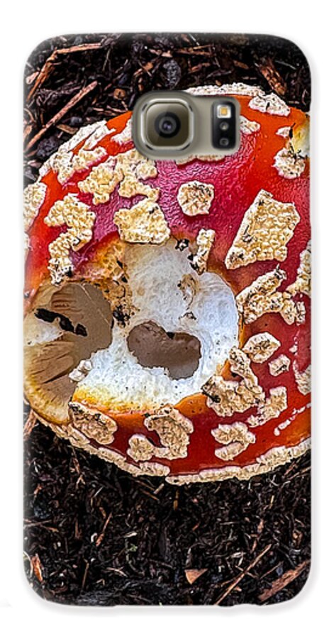 Mushroom 2 - Phone Case